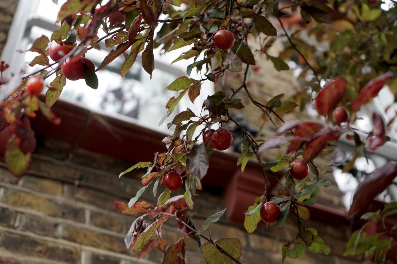 Luxury London Garden Home Sleep 7, 2 Mins To Metro Exteriör bild